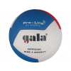 Volejbalová lopta Gala Pro-line 12 5595 S