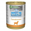Farmina Vet Life Dog Convalescence konzerva 300 g