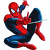 CUKROVÁ TLAČ jedlý obrázok na tortu Cukrová hmota Spiderman 14 + MENO TEXT