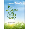 Pod nohama cítíš stébla trávy - Müller Else
