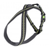 Postroj Xenox 50-80cm