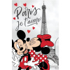 Jerry Fabrics Detská fleecová deka MM in Paris 