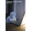 Chameleon in a Candy Store - Anonymous, Little, Brown Book Group