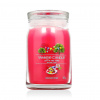 Yankee Candle vonná sviečka Praline & Birch 567 g Art In The Park