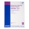 EPSON Premium Glossy Photo Paper, DIN A2, 255g/m?, 25 Sheet (C13S042091)