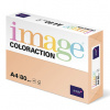 Savana Coloraction A4 80 g/m2 500 listů