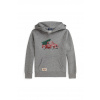 Detská bavlnená mikina Polo Ralph Lauren 323981325001 sivá 150-161