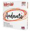 Hidersine Andante Violin set