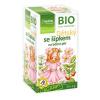 Apotheke Bio se šípkem 20 x 2 g