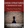 Chess Structures (Mauricio Flores Rios)(Brožovaná)