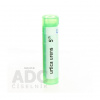 Urtica Urens gra.1 x 4 g 5CH