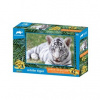 PRIME 3D puzzle Biely tiger 63 ks