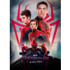 CUKROVÁ TLAČ jedlý obrázok na tortu Cukrová hmota Spider-Man No way home Avengers