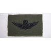 Nášivka - Člen letecké posádky • Aircraft Crew Member Master