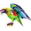 IZMAEL Drevené Macaw/M 152 dielov