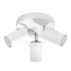 Sollux Lighting Stropné svietidlo Ring, 1x biele kovové tienidlo, (možnosť polohovania)