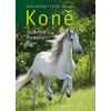 Koně - jezdectví, plemena, chov - Ulrike Amlerová, Gabriele Metzová
