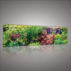 Obraz na plátne panoráma - OB2220 - Akvárium 145cm x 45cm - O3