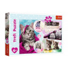 Puzzle Roztomilé mačiatka 41x27, 5cm 160 dielikov
