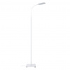 Novel STOJACIA LED LAMPA, 21/128 cm - Interiérové svietidlá - 004760002001