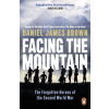 Facing The Mountain