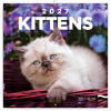 Poznámkový kalendář Koťata 2027 - nástěnný kalendář - autor neuvedený