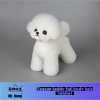 Mr Jiang Parochňa Mr.Jiang Teacup Teddy Full Body Hair White 064