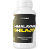 Czech Virus Himalayan Shilajit 90 kapsúl