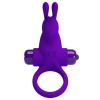 Baile Pretty Love Vibrant Penis Ring