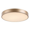 Rabalux TESIA LED stropné svietidlo 71037