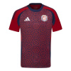 adidas Costa Rica Home Shirt 2024 2025 Adults Blue S