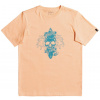 detské tričko QUIKSILVER YOUTH NIGHT SURFER TEE Apricot - NEZ0 16 years