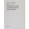 Mezinárodní právo v komentovaných dokumentech - Libor Lukášek