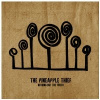 VINYL PINEAPPLE THIEF NOTHING BUT THE TRUTH 2LP
