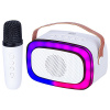 XR 8A01 Miniparty Karaoke speaker + BT W