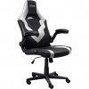 TRUST GXT703W RIYE GAMING CHAIR WHITE 25130