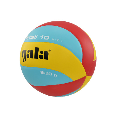 Volejbalový míč GALA Volleyball 10 - BV 5651 S - 230g
