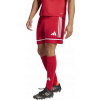 Adidas Šortky SQUADRA 25 JN5466