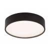 RABALUX 75011 Larcia stropné svietidlo so senzorom LED 19W