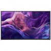 DELL P2425HE WOST