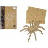 Lean Drevené 3D puzzle Pavúk 31 ks