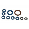 CENTAURO - Sada tesnení motora, olejové tesnenia HUSQVARNA FE 250 KTM ENGINE 2014-2015731A667SR 731A667SR