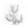 ZUTY Bodkovanie - MAĽOVANÉ TULIPÁNY Rámovanie: vypnuté plátno na rám, Rozmer: 40x50 cm