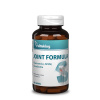 Vitaking Joint formula Glukozamín+Chondroitín+MSM 60tabl.
