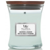WoodWick Sagewood & Seagrass - Šalvějové dřevo a mořská tráva vonná svíčka s dřevěným knotem a víčkem sklo malá 85 g