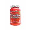 Amix Creatine monohydrate powder 1000 g