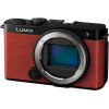 Panasonic Lumix DC-S9