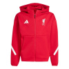 adidas Liverpool Anthem Jacket Juniors Red 7-8 Years