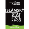 E-kniha Islámský stát - Fawaz Gerges