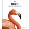 Bird - autor neuvedený